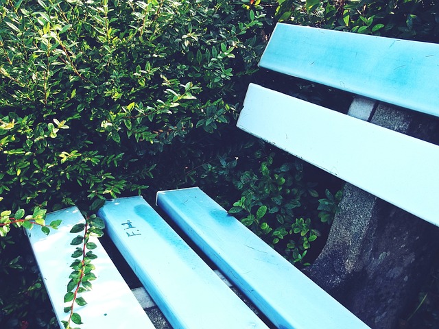 德赢Vwin官网手机登录